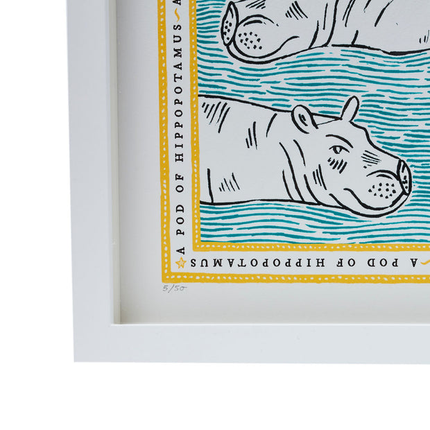 Signed Collective Noun Print - A Pod of Hippopotamus - POLKRA
